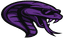 Team Cobra