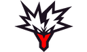 Team Yandex