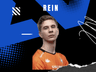 Rein