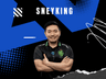 Sneyking